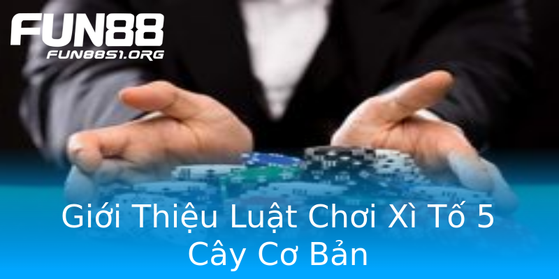 Giới Thiệu Luật Chơi Xì Tố 5 Cây Cơ Bản Giới Thiệu Luật Chơi Xì Tố 5 Cây Cơ Bản